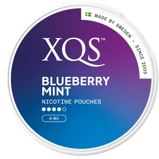XQS Blueberry Mint Strong