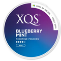 XQS Blueberry Mint Strong
