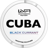 Black Currant