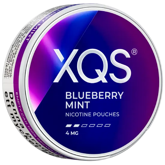 XQS Blueberry Mint Light 5