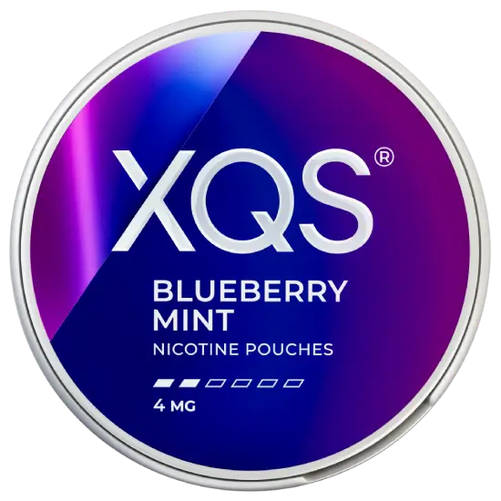 XQS Blueberry Mint Light 4