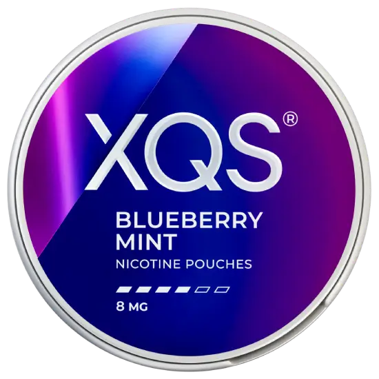 XQS Blueberry Mint Strong 4