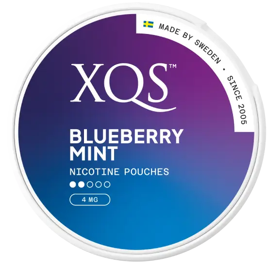 XQS Blueberry Mint Light