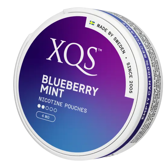 XQS Blueberry Mint Light 2